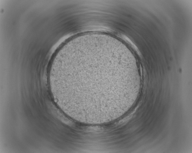 X0000082730883200702232344