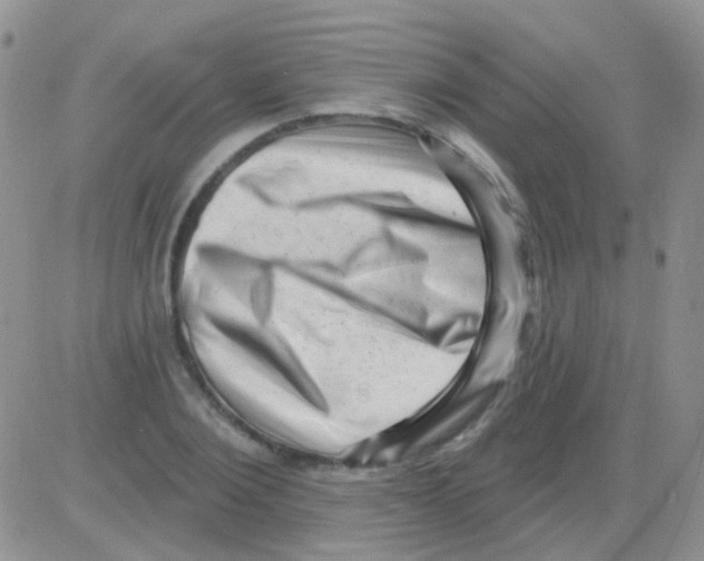 X0000082730884200702232344