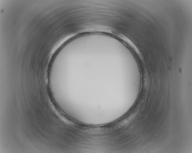 X0000082730885200702232344