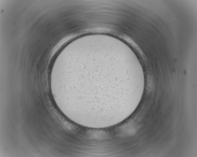 X0000082730886200702232344