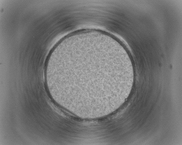 X0000082730887200702232344