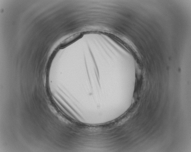 X0000082730888200702232344