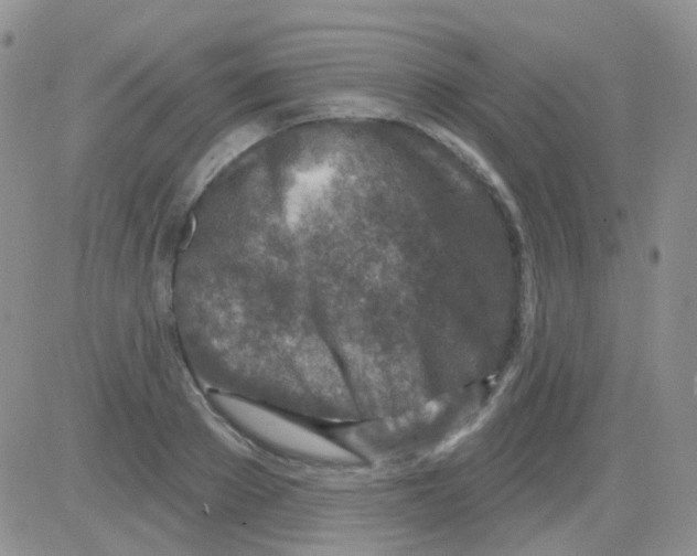 X0000082730889200702232344