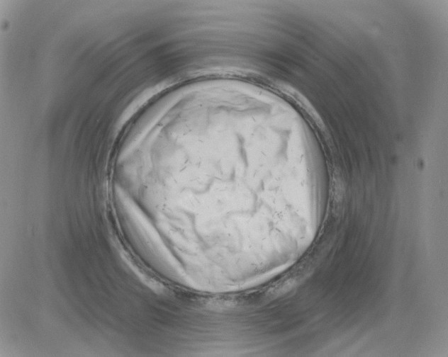 X0000082730890200702232344