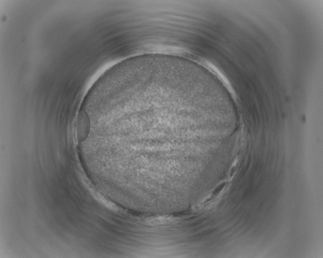 X0000082730891200702232344