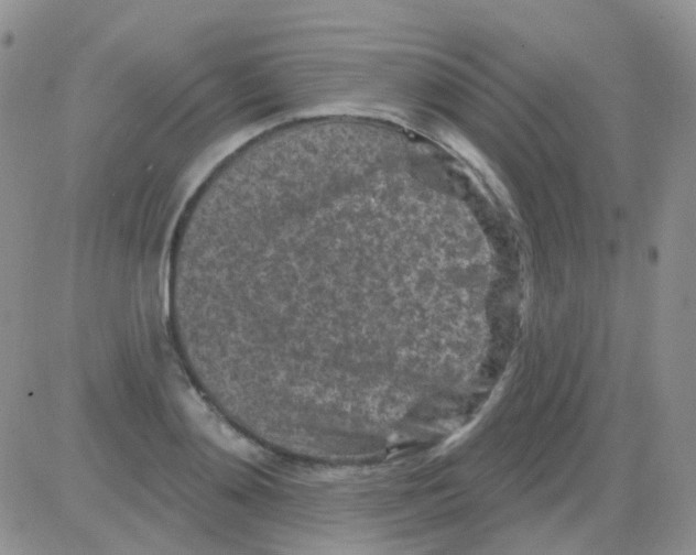 X0000082730892200702232344