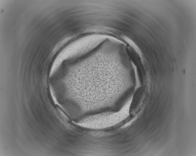 X0000082730893200702232344