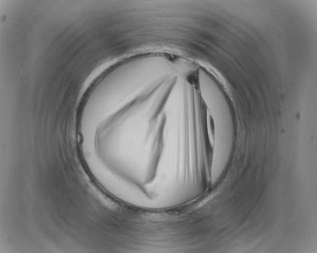 X0000082730894200702232344