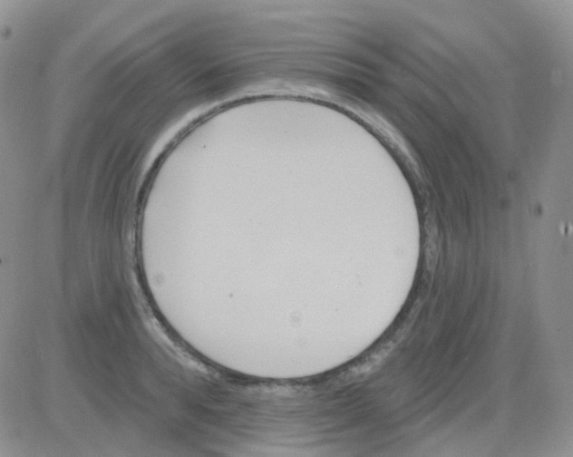 X0000082730896200702232344