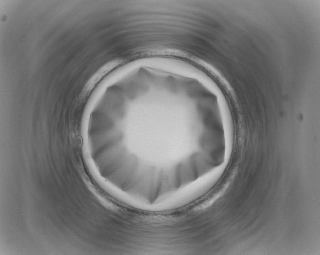 X0000082730897200702232344