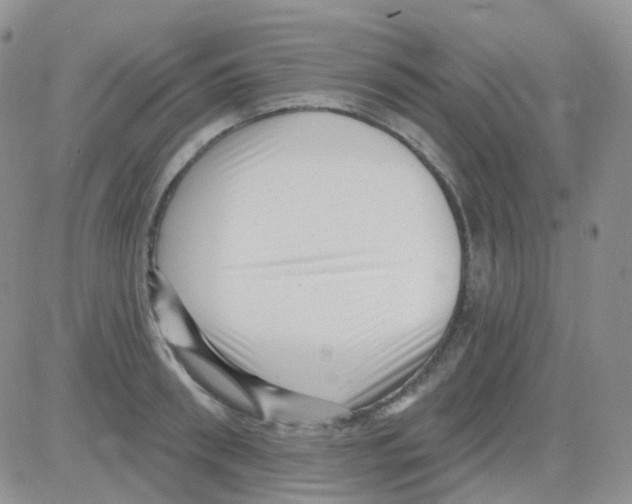 X0000082730898200702232344