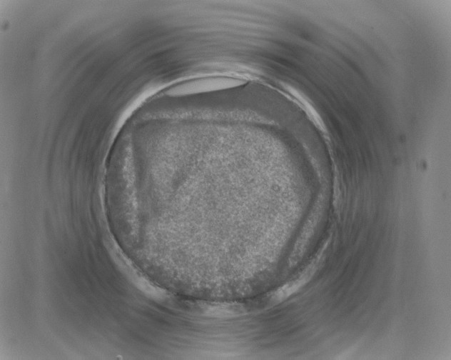 X0000082730899200702232344