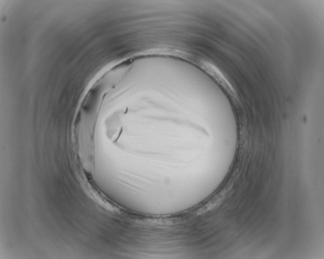 X0000082730900200702232344