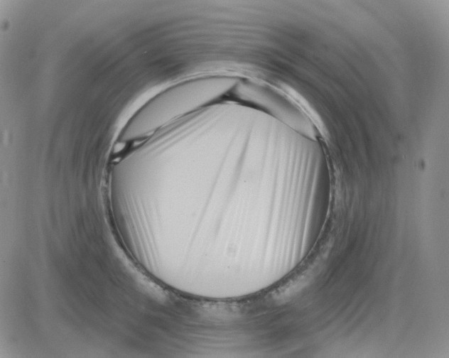 X0000082730901200702232344