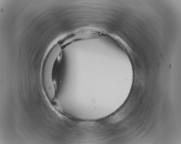 X0000082730902200702232344