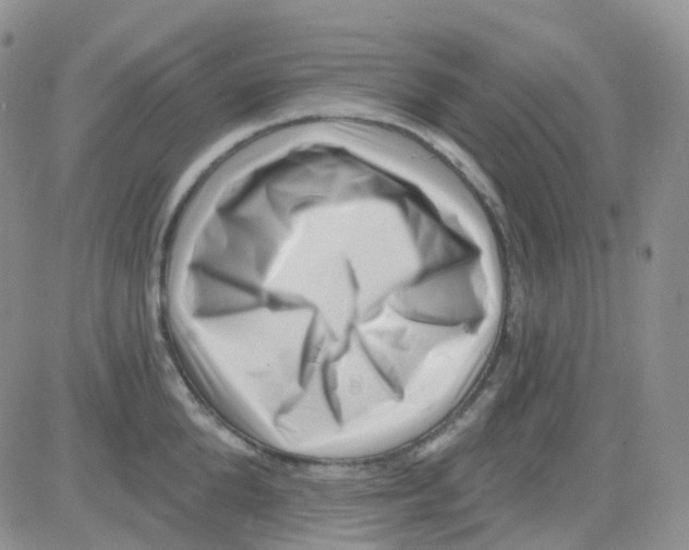 X0000082730904200702232344