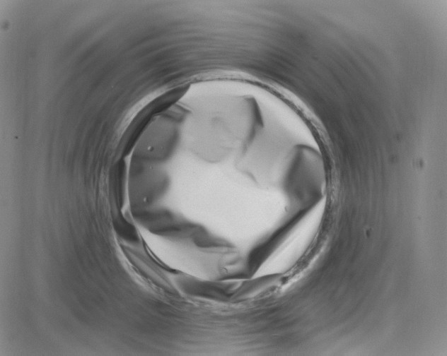 X0000082730905200702232344