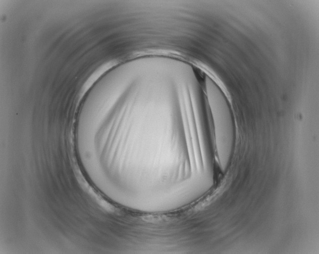 X0000082730906200702232344