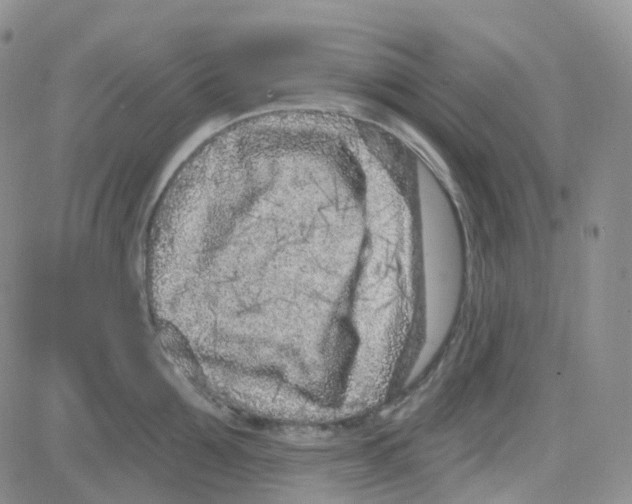 X0000082730907200702232344