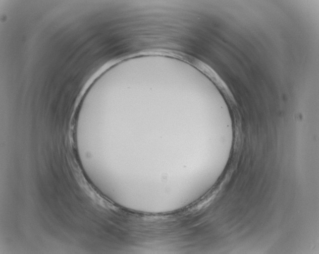 X0000082730908200702232344