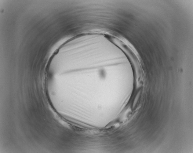 X0000082730909200702232344