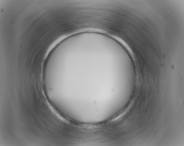 X0000082730910200702232344