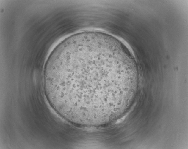 X0000082730911200702232344