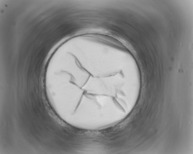 X0000082730912200702232344