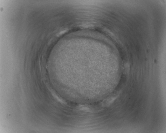 X0000082730913200702232343