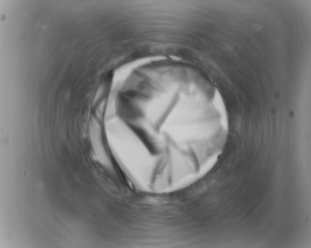 X0000082730914200702232343