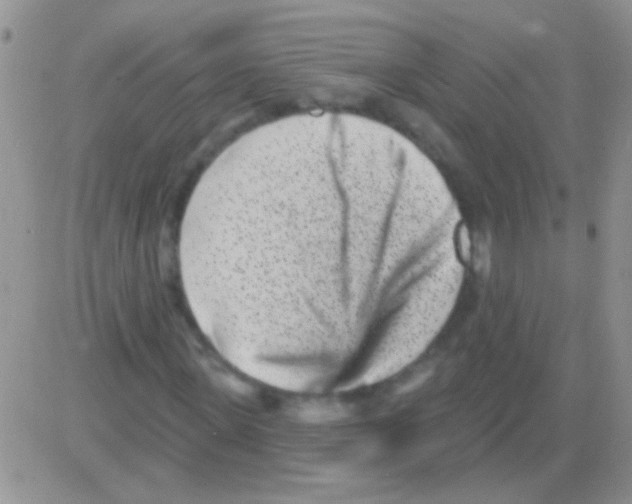 X0000082730915200702232343