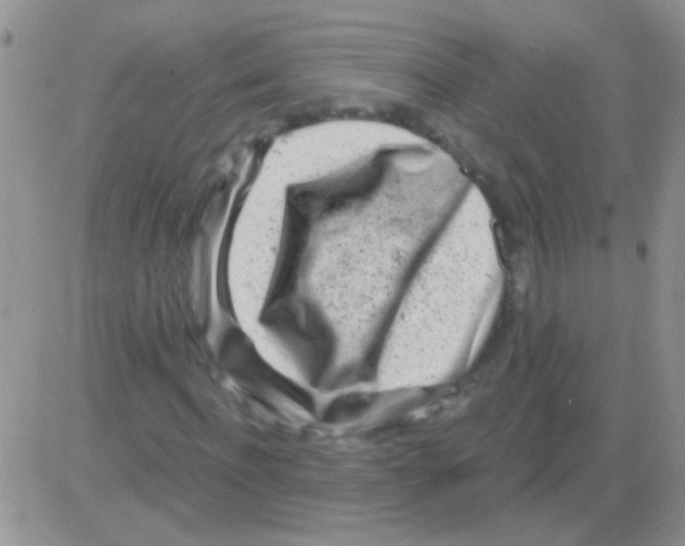 X0000082730916200702232343