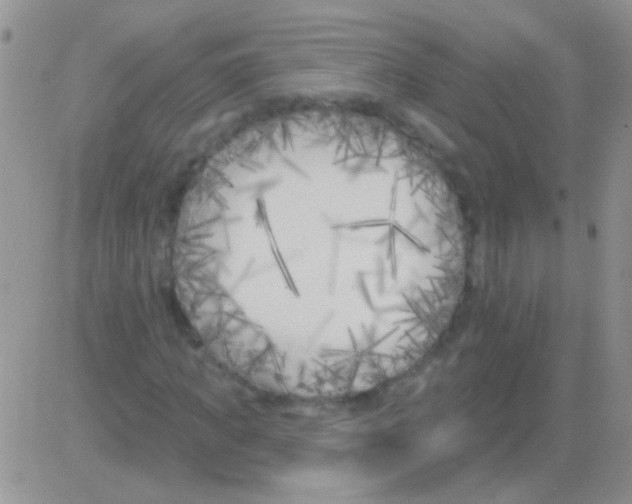 X0000082730917200702232343