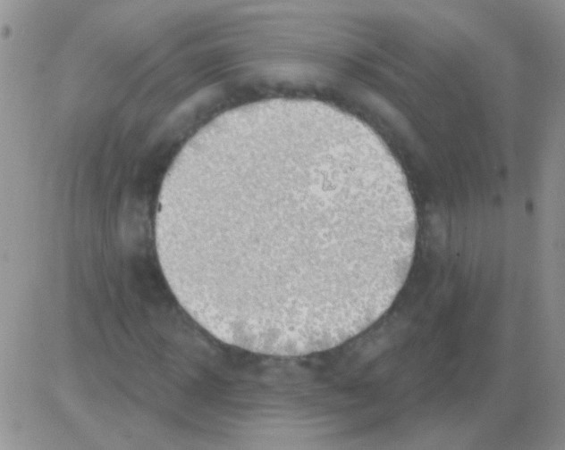 X0000082730918200702232343