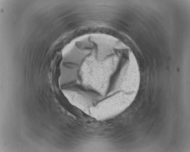 X0000082730919200702232343