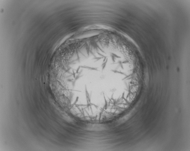 X0000082730921200702232343