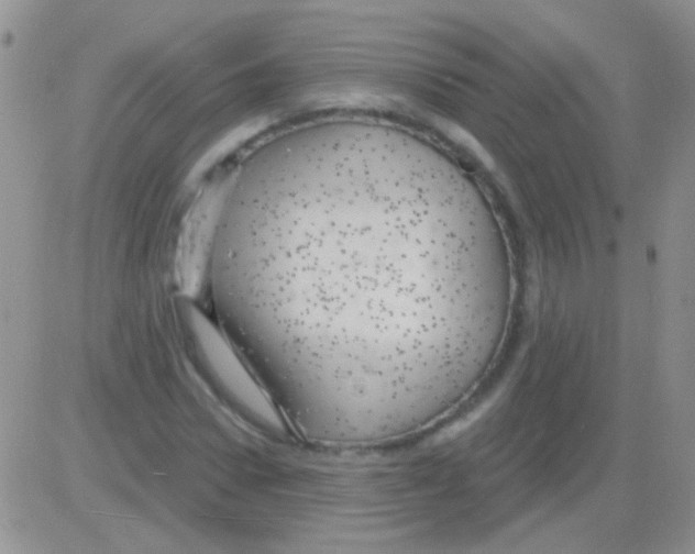 X0000082730922200702232343