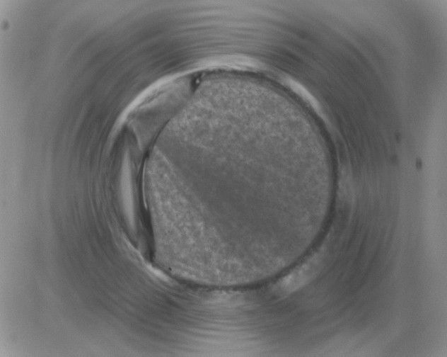 X0000082730923200702232343