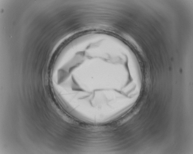 X0000082730924200702232343