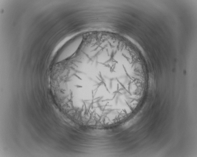 X0000082730925200702232343