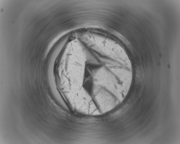 X0000082730926200702232343