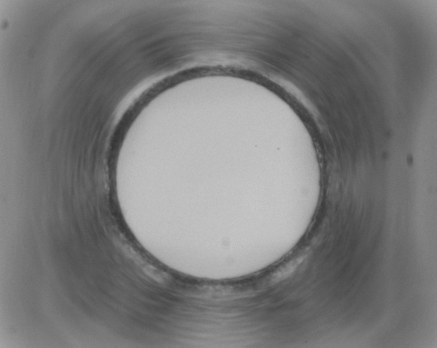 X0000082730927200702232343