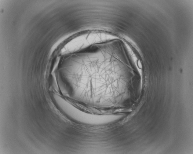 X0000082730928200702232343