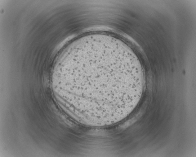 X0000082730929200702232343