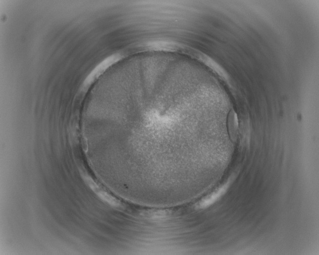 X0000082730930200702232343