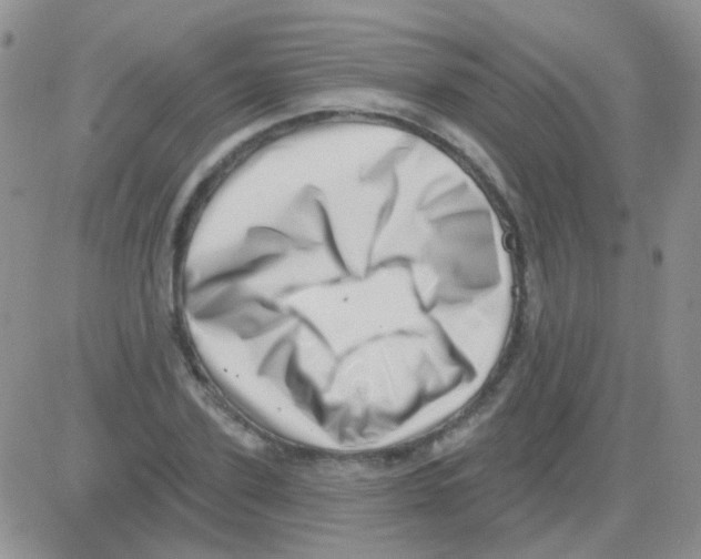 X0000082730931200702232343