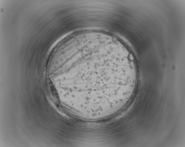 X0000082730933200702232343