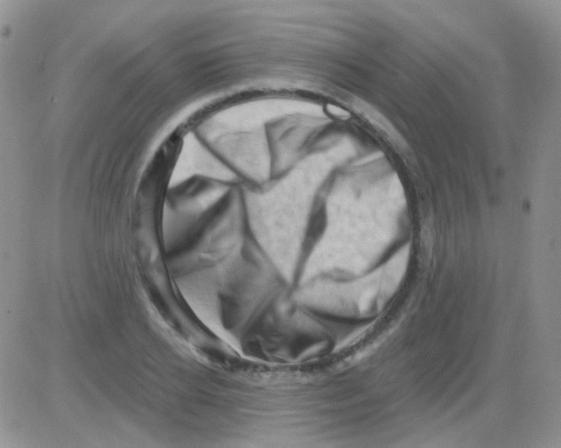 X0000082730934200702232343