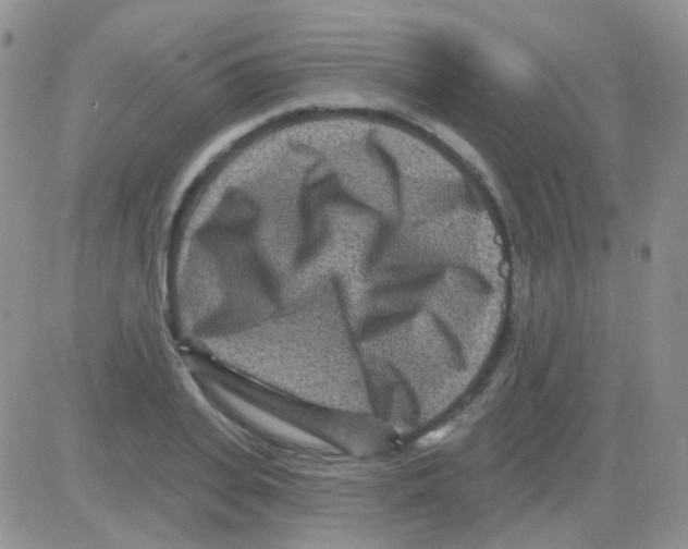 X0000082730935200702232343