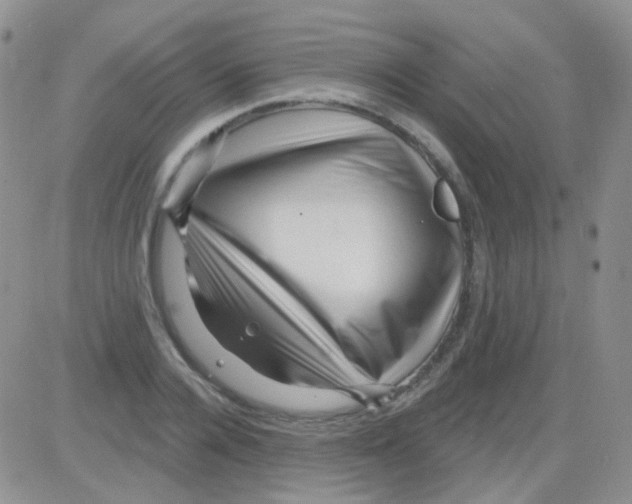 X0000082730936200702232343